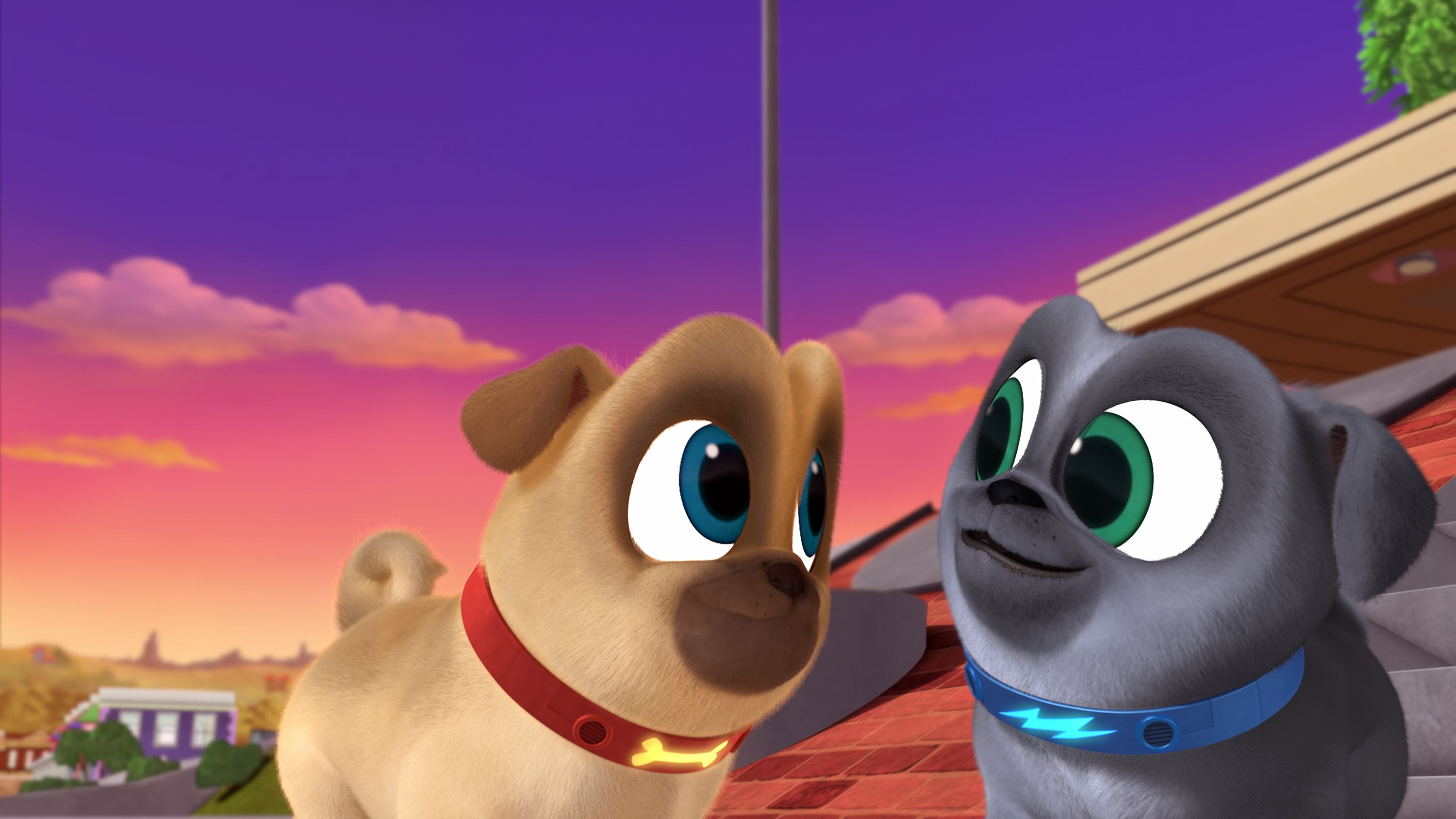 Series Trailer Puppy Dog Pals Disney Junior Youtube - Riset