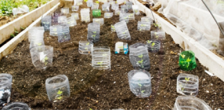 Os produtos “outdoor” continuarão crescendo em 2021?