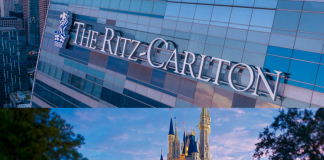 The Robin Report | A experiência “WOW!” do cliente