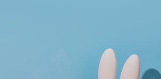 Melissa e Miffy se encontram nas cores, na arte e no design