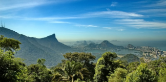 Hoje é comemorado o Dia Nacional da Mata Atlântica