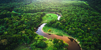 Engajamento com causas ambientais cresce 16% em 5 anos