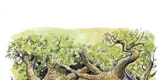 Uma casa digna do Ursinho Pooh da Disney