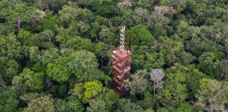 VIVA A AMAZÔNIA! CURIOSIDADES SOBRE A MAIOR FLORESTA DO MUNDO