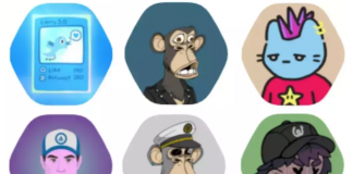 Twitter permite exibir NTFs como fotos de perfil