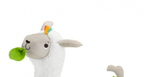 Brincar e desenvolver: saiba como ajudar no fortalecimento dos bebês