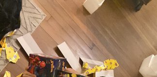 Ri Happy e PBKIDS têm novas embaixadoras: Fernanda Gentil e Laura Neiva