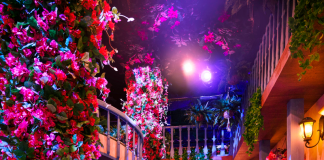 Loja CAMP e Disney ‘Encanto’ apresentam uma nova experiência imersiva