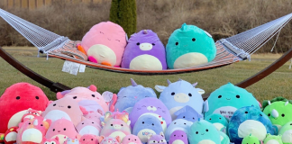 Squishmallows leva o prêmio de brinquedo do ano