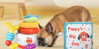 Fisher-Price lança produtos para animais de estimação em parceria com a Petsmart