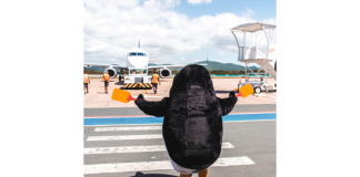 Aeroporto de Navegantes faz ação especial dos Pinguins de Madagascar em parceria com Beto Carrero World