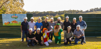 Obras para construção do novo Sítio do Picapau Amarelo são iniciadas