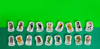 Mercur apresenta borrachas até 65% renováveis em circuito nacional de feiras