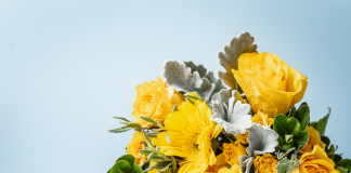 Crayola Flowers é a nova plataforma inovadora da Crayola