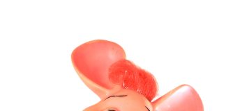 Exposição de Brinquedos Clássicos da Estrela estreia no Cantareira Norte Shopping no dia 16 de março