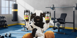 Suplementação com Sabor: Collab BEST WHEY® e TODDY® reinventa a Nutrição Esportiva em parceria inovadora