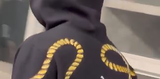 Snoopy integra coleção da À La Garçonne apresentada durante desfile no São Paulo Fashion Week