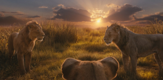 Cinépolis cria combo exclusivo para ‘Mufasa: O Rei Leão’