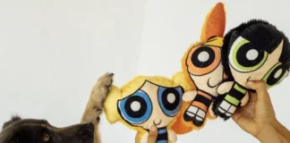 Petiko lança coleção de produtos pet das Meninas Superpoderosas