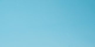 PICCADILLY lança collab com Ursinhos Carinhosos® para a linha Marshmallow