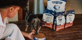 Grupo Petz entra para o mercado de alimentação seca com a marca ‘Selections’