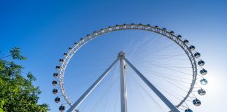 Roda Rico prepara Carnaval com os personagens do ‘O Show da Luna’