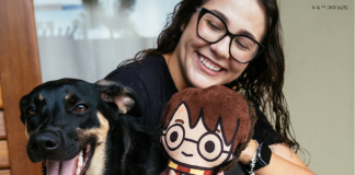 Petiko lança coleção de produtos pet do universo de Harry Potter