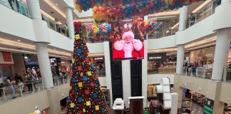 Wicked, Wonka, Harry Potter, Lego e Bluey: os Natais inéditos e exclusivos do showroom da 2a1 Cenografia para 2025 encantam o mercado