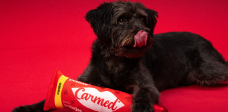 Carmed e Petlove anunciam collab