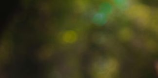 A força está com os kidults: legado de Star Wars atrai consumidores nostálgicos e movimenta R$13,5 milhões