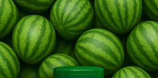 Cimed lança primeira linha infantil da Lavitan em parceria com a Turma da Mônica