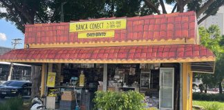 Banca do Chico Bento chega à São Paulo