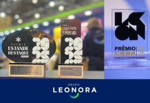Grupo Leonora acumula premiações e reforça protagonismo no setor de papelaria