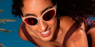 FARM e Zee.Dog: reinventando acessórios para pets em uma collab global