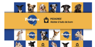 Adotar é tudo de bom