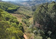 Peanuts reforça no Brasil o impacto do programa “Take Care With Peanuts”