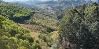 Peanuts reforça no Brasil o impacto do programa “Take Care With Peanuts”