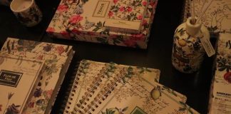 Animativa e Dani Fernandes celebram collab em evento sensorial em Rio Preto