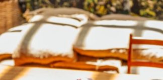 Dengo Chocolates promove atividade infantil “Monte Seu Ursinho” na Fábrica de Dengo