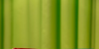 Pipó lança edição especial com a Turma da Mônica