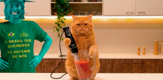 Havan aposta em Inteligência Artificial para criar comerciais inusitados