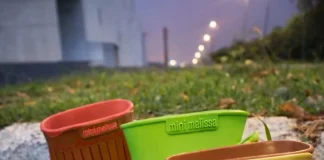 Melissa lança botas de Toy Story e aposta na nostalgia infantil