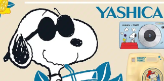 Snoopy estrela nova coleção de câmeras vintage da Yashica