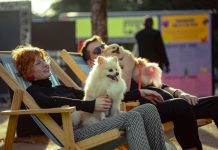 Mars leva experiências de PEDIGREE® e DREAMIES™ ao Festival Pet