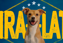 Campanha “PEDIGREE® Vira-Lata” reforça legado de mais de 89 mil adoções apoiadas no Brasil