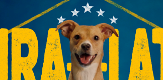 Campanha “PEDIGREE® Vira-Lata” reforça legado de mais de 89 mil adoções apoiadas no Brasil