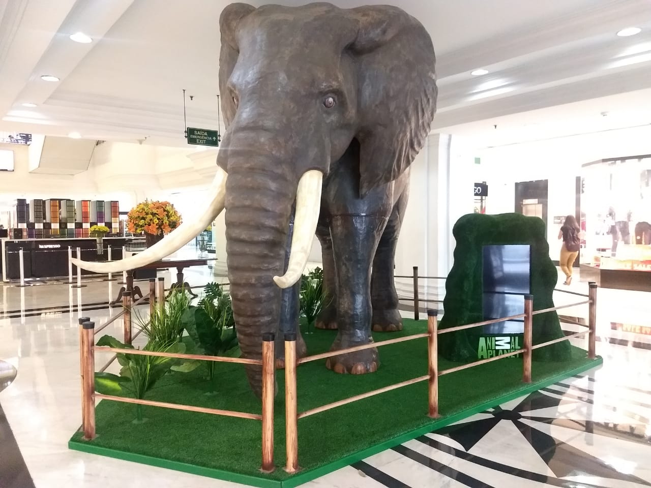 Animais em tamanho real no Shopping Pátio Paulista