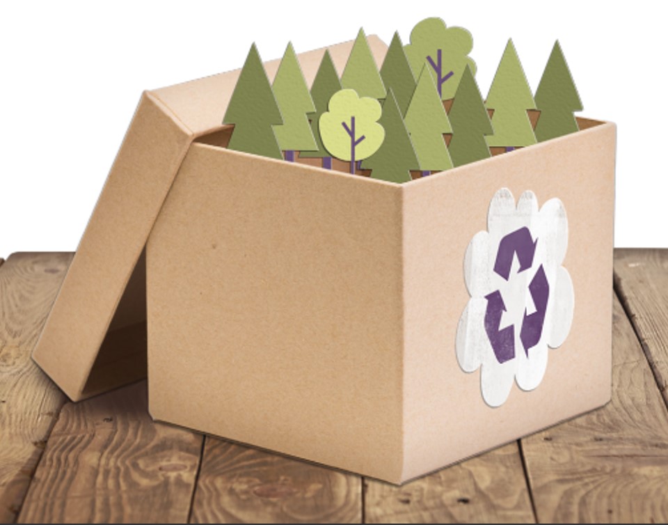 Embalagem influencia decisão de compra do brasileiro