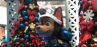 Encontro com personagens da Patrulha Canina no São Bernardo Plaza