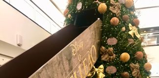 Natal inspirado no clássico da Disney “O Rei Leão”